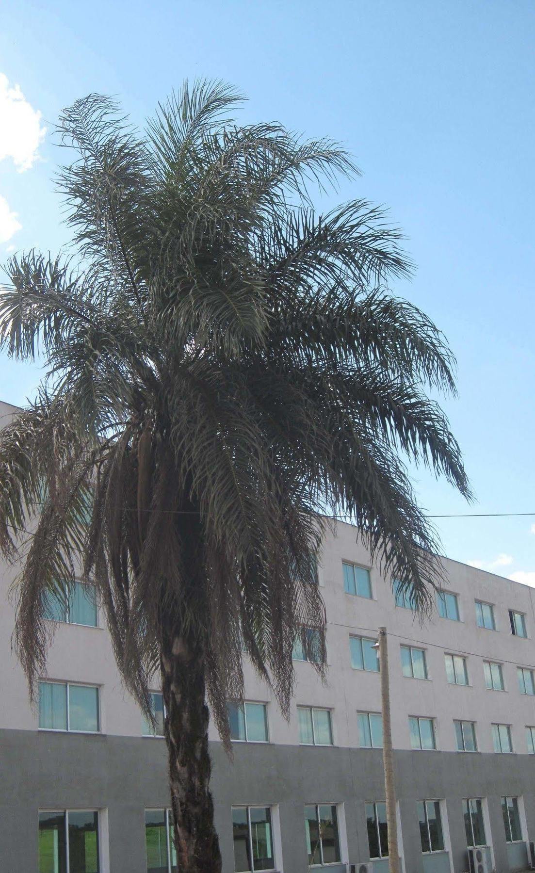 Hotel Mirante Sao Bras São Brás do Suaçuí 外观 照片